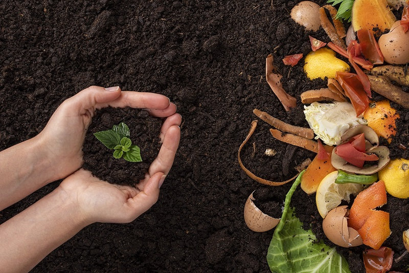 DO RESTO Á VIDA: OS GUARDIÕES DO SOLO